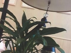 -新盈光·云会所(百丈东路店)
