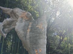 -抱犊崮国家森林公园