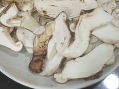-波密野生菌王酒家