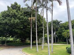 -厦门悦华酒店