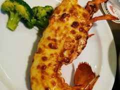 黄金焗烤龙虾M尺寸-RED LOBSTER(环球影城大阪店)