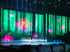 -宝能国际体育演艺中心