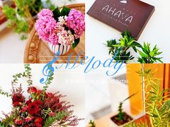 -AHAVA·Fang Baking Studio