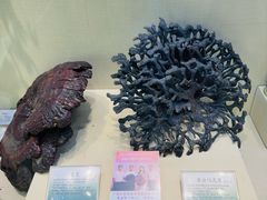 -广东中医药博物馆