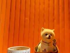 -UMe·玖觅(曲江店)