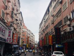 -松树干拌面店
