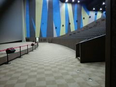 android_upload_pic-天幕新彩云国际影城(激光巨幕店)