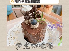 梦龙咖啡卷-喵屿·大理花园猫咖