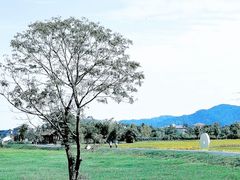 -良渚古城遗址公园
