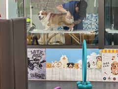-全心全意动物诊疗中心医院(北苑店)