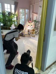 -同远QQBABY亲子摄影(北京路店)