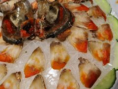 -官塘鱻鱻鱼生·潮汕生腌·砂锅粥(西马路总店)