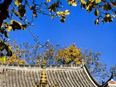 -长春观