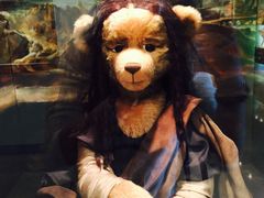 -济州岛泰迪熊博物馆