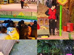 -呀路古热带植物园