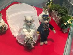 -济州岛泰迪熊博物馆