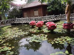 -瑞丽独树成林风景区