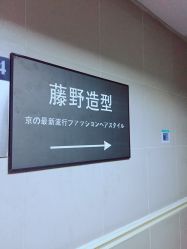 点击看大图 -藤野造型
