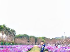 -盈香心动乐园