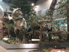 -湖南省地质博物馆