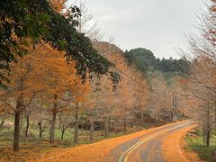 -福清灵石山国家森林公园