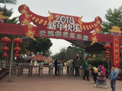 -天适樱花悠乐园