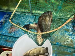 -牟记江湖重庆地标特色菜鱼蛋海鲜无刺鲫鱼(巴南区黑金冠十多年好店)