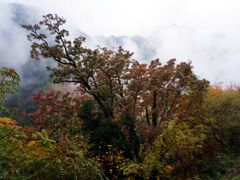 -叠溪松坪沟景区