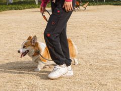 -杭州城北体育公园