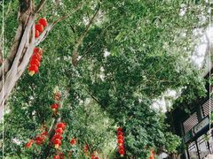 -丰都鬼城名山景区