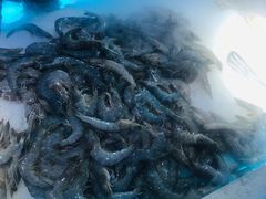 -星海汇海鲜烤肉火锅自助(二七广场百年德化店)