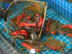 -三妹小龙虾·黄油蟹(华侨城总店)