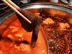 辣府铺盖毛肚-辣府(椒江店)