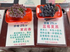 -马陆小张葡萄园农家乐