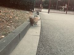 -桐乡植物园