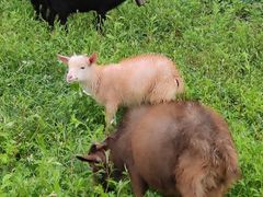 -重庆云阳龙缸景区