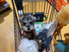 -MARSMART PETS火星宠物超市(1733店)