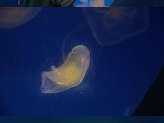 -洛阳龙门海洋馆