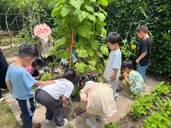 -小风车金桥丽都幼儿园(金桥店)