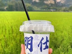 -明仕田园