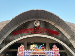 -灵玲国际马戏城