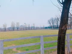 -北京群众马术培训基地