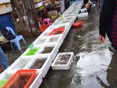 -先锋海鲜市场