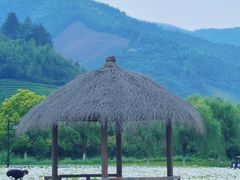-径山花海