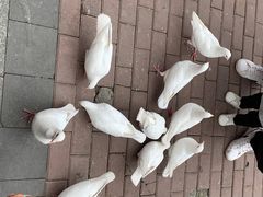 -王府井奥莱临潼小镇(临潼店)