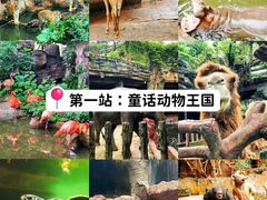 -长鹿旅游休博园