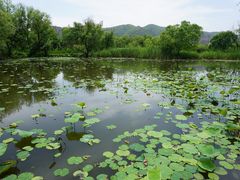 -长兴太湖图影湿地文化园