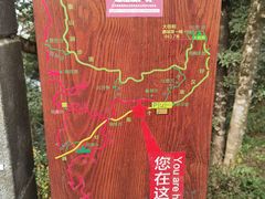 -梧桐山风景名胜区