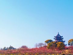 -上海海湾国家森林公园