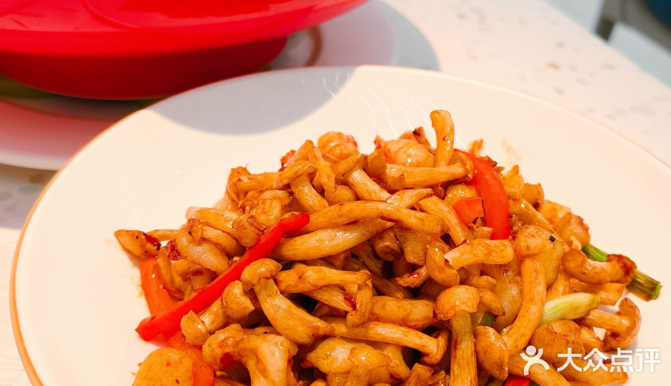 大树 | 为了它的美貌来吃它🌳好拍网红店